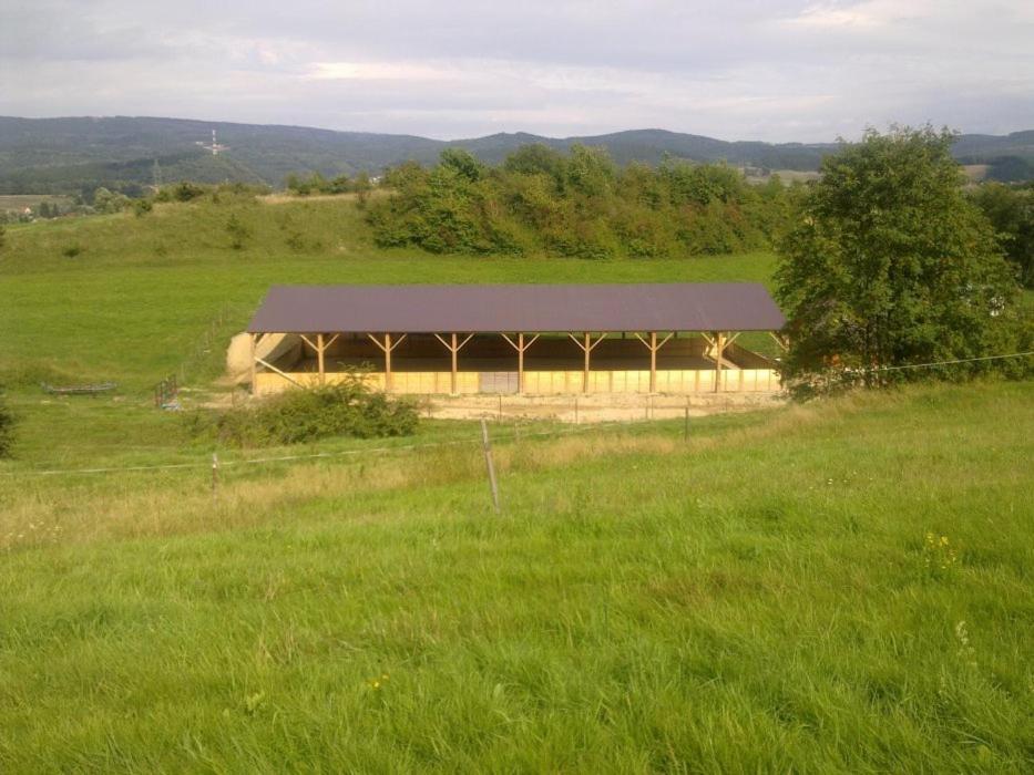 Hotel Stawy Zielona Dolina Bad Kudowa Exterior foto